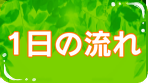 一日の流れ