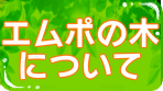 エムポの木について
